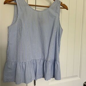 J. Crew Blue and White Striped Top